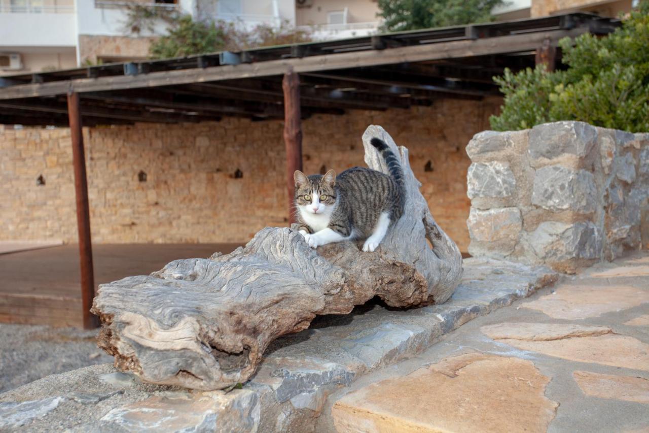 فندق Hill Of Calm تريوبيترا المظهر الخارجي الصورة